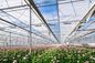 Afbeelding van Made -
Plantenpad 4