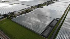 Afbeelding van Bleiswijk - Groendalseweg 44-54